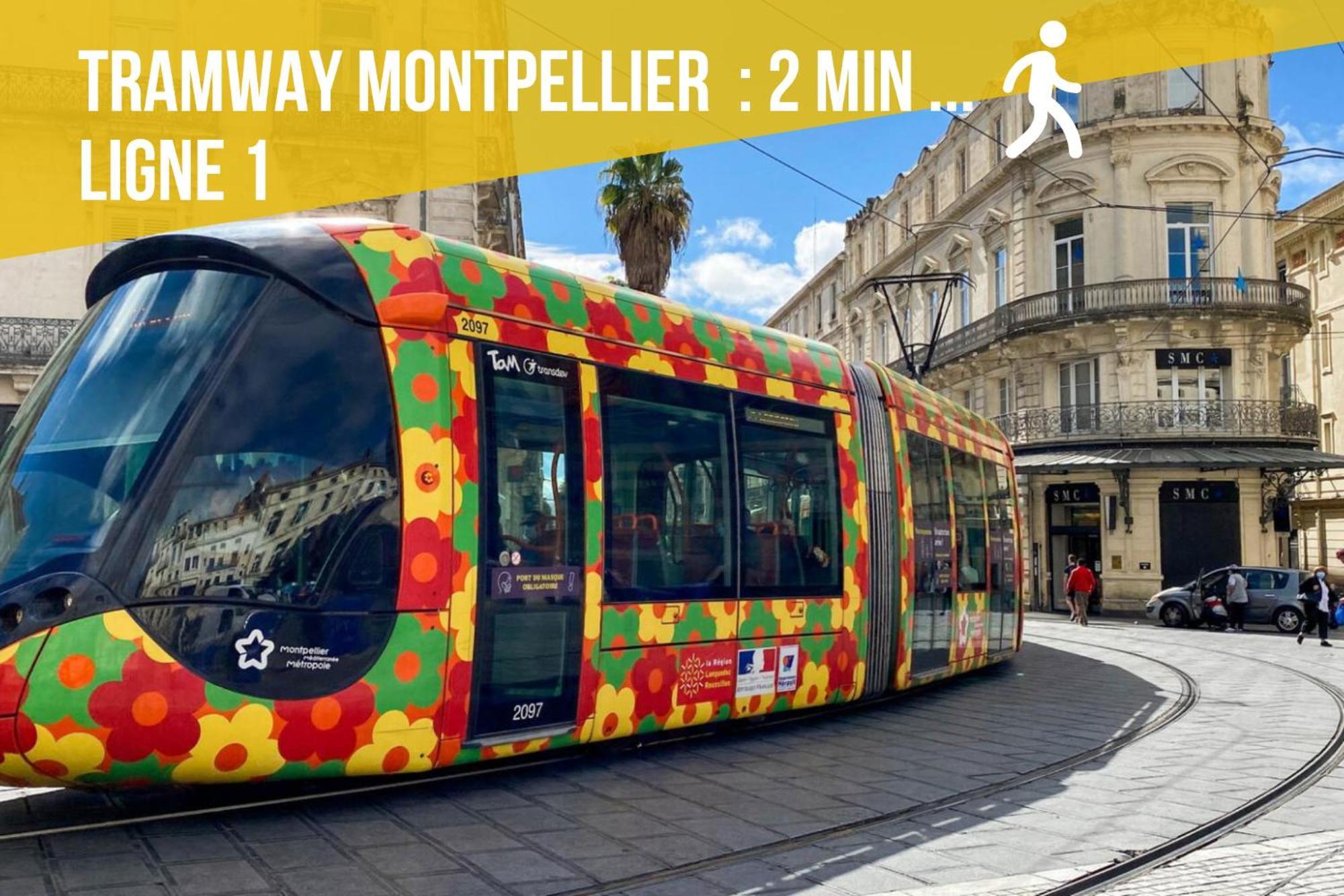 Le Chapeau Rouge - Centre Historique - Corum - Tramway - Climatisation Montpellier Esterno foto